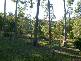Cooroy QLD 4563