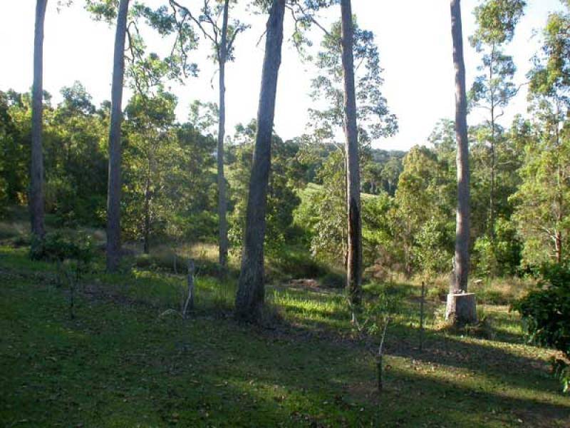 Cooroy QLD 4563