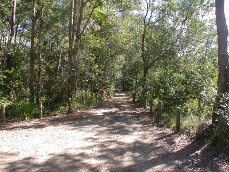 24 BUNDOORA STREET, Ringtail Creek QLD 4565