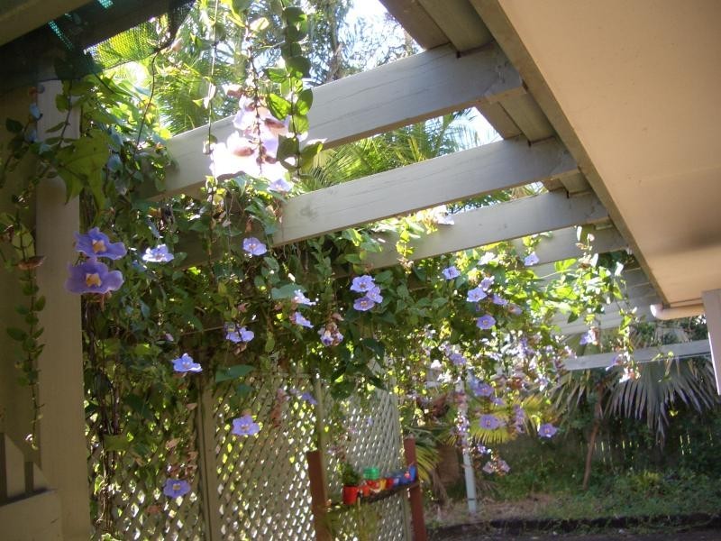 20 Elkhorn Drive, Tewantin QLD 4565