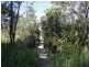 23 Myles Street, Tewantin QLD 4565