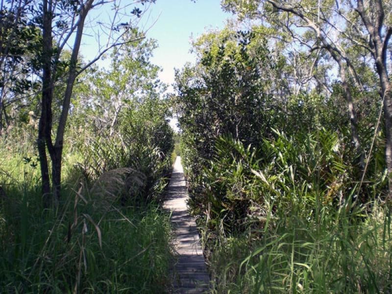 23 Myles Street, Tewantin QLD 4565