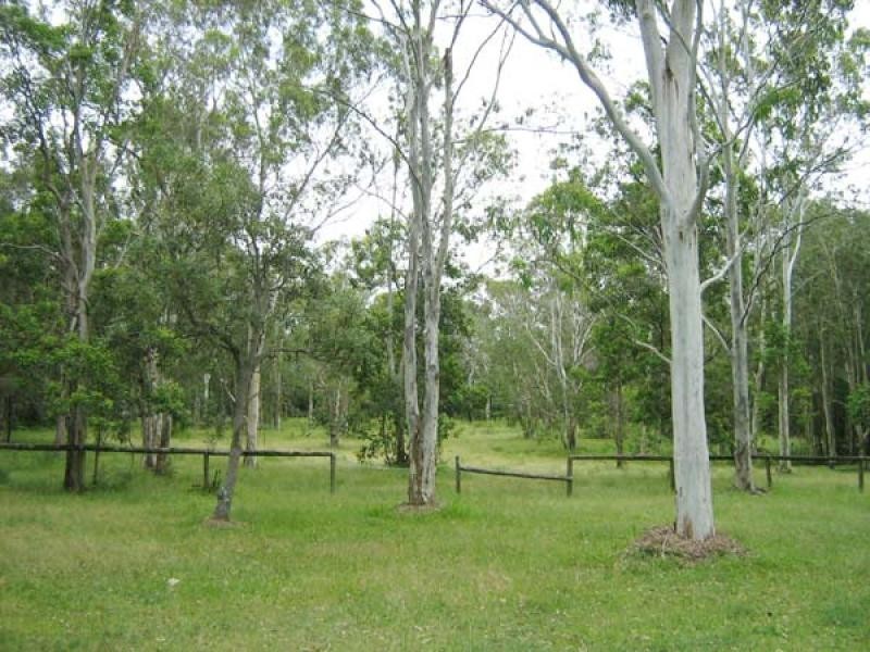 114 Goodwin Street, Tewantin QLD 4565