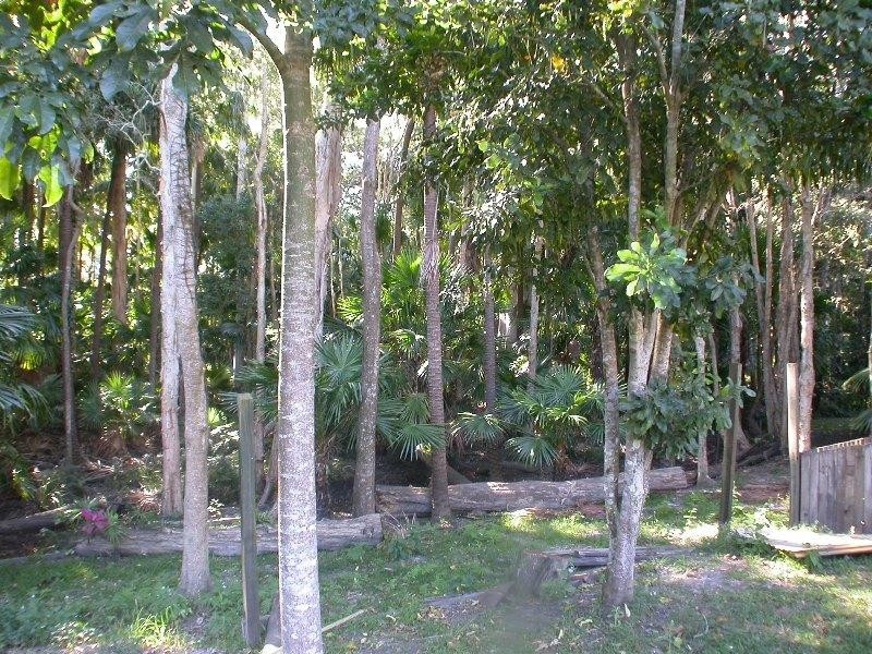 15 Avron Court, Tewantin QLD 4565