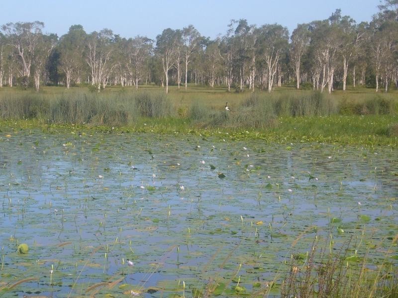 76 Edington Drive, Cooroibah QLD 4565