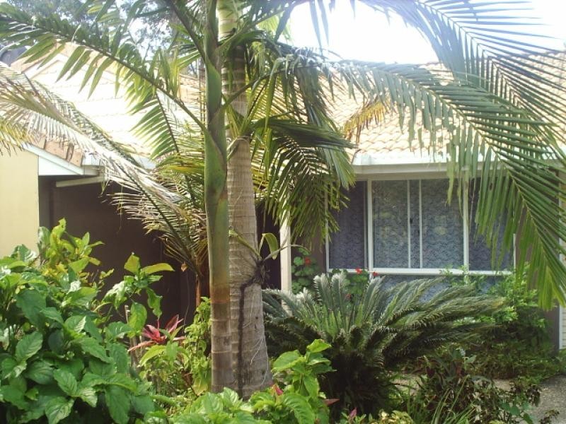 15 Blackbutt Court, Tewantin QLD 4565