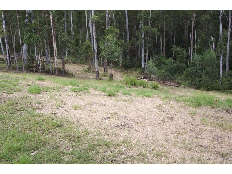 42 White Wood Court, Lake Macdonald QLD 4563