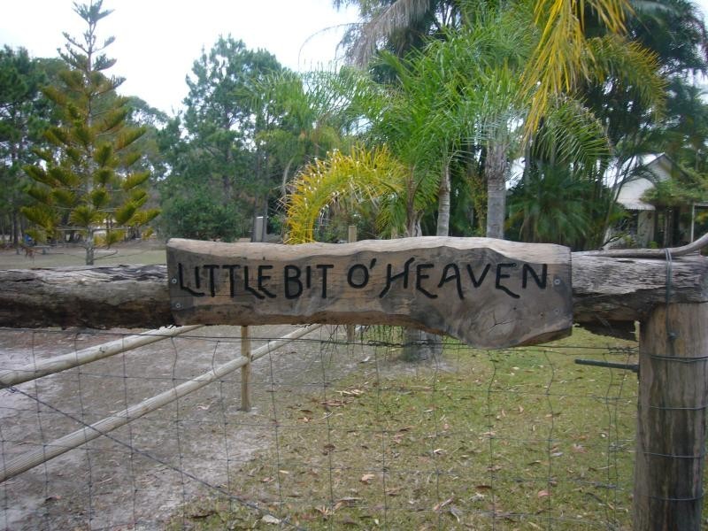 10 Wattlebird Drive, Doonan QLD 4562