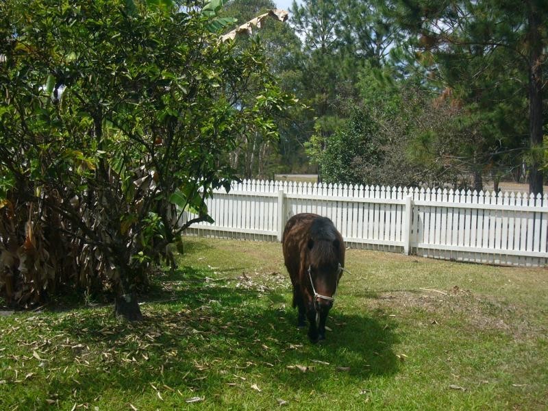 10 Wattlebird Drive, Doonan QLD 4562