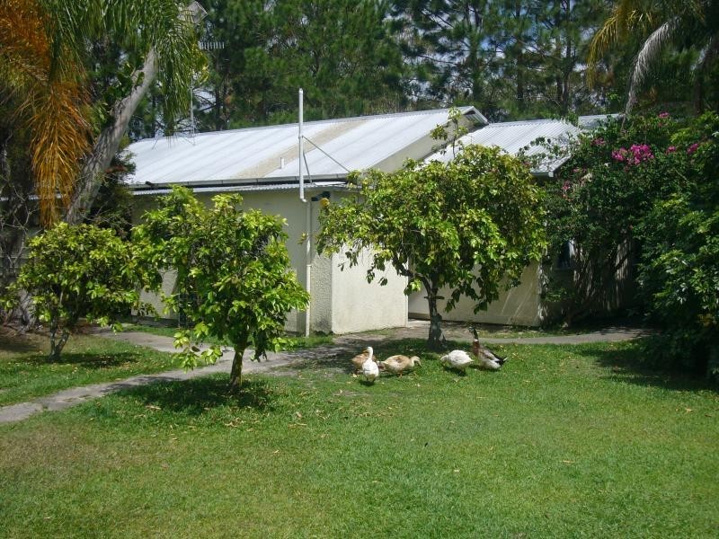 10 Wattlebird Drive, Doonan QLD 4562