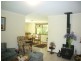 21 Poinciana Avenue, Tewantin QLD 4565