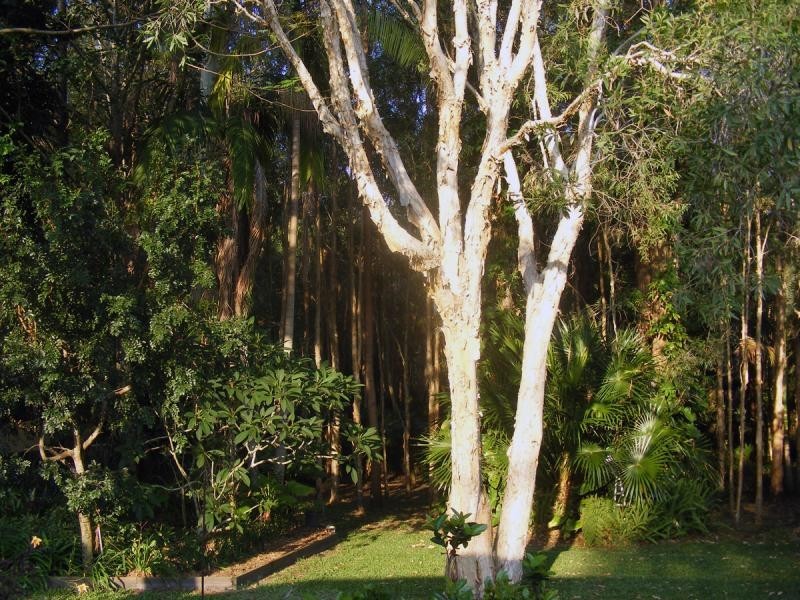 16 Avron Court, Tewantin QLD 4565