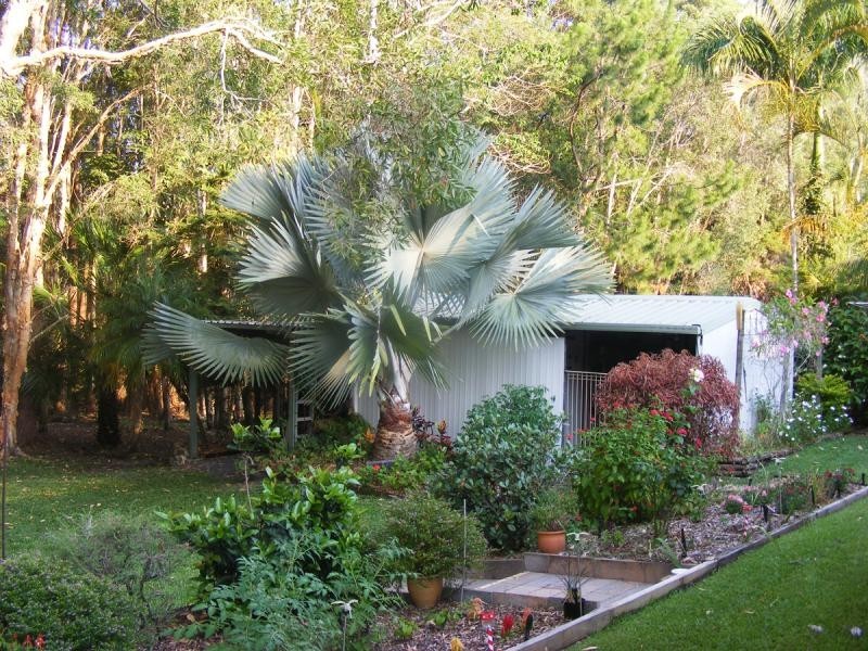 16 Avron Court, Tewantin QLD 4565