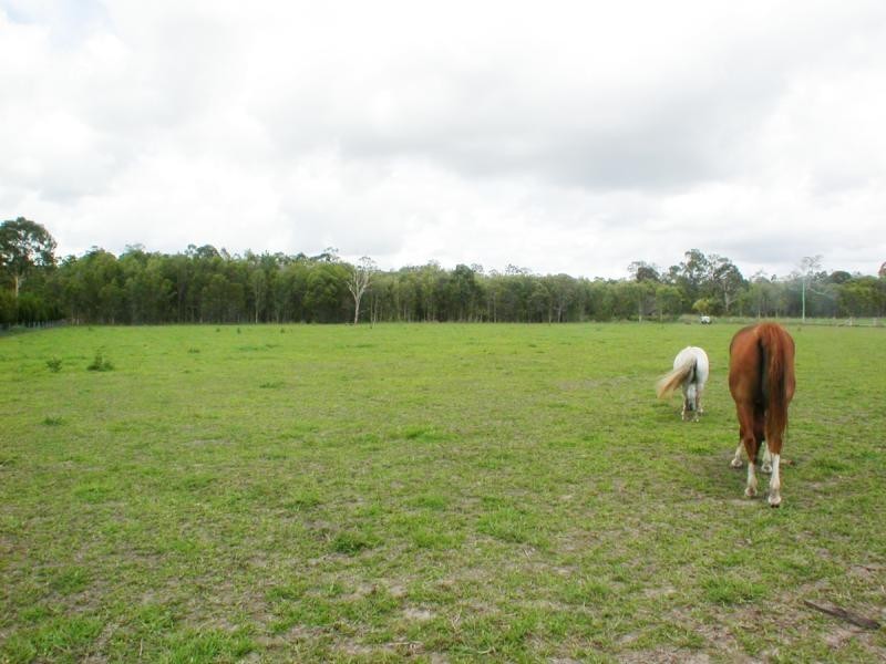 39 Eucalypt Way, Cootharaba QLD 4565