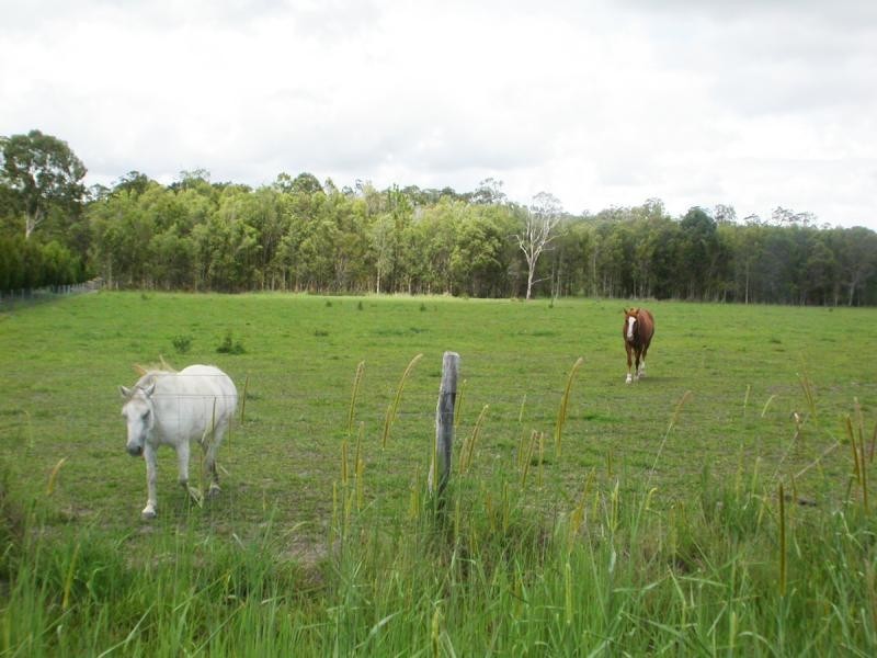 39 Eucalypt Way, Cootharaba QLD 4565