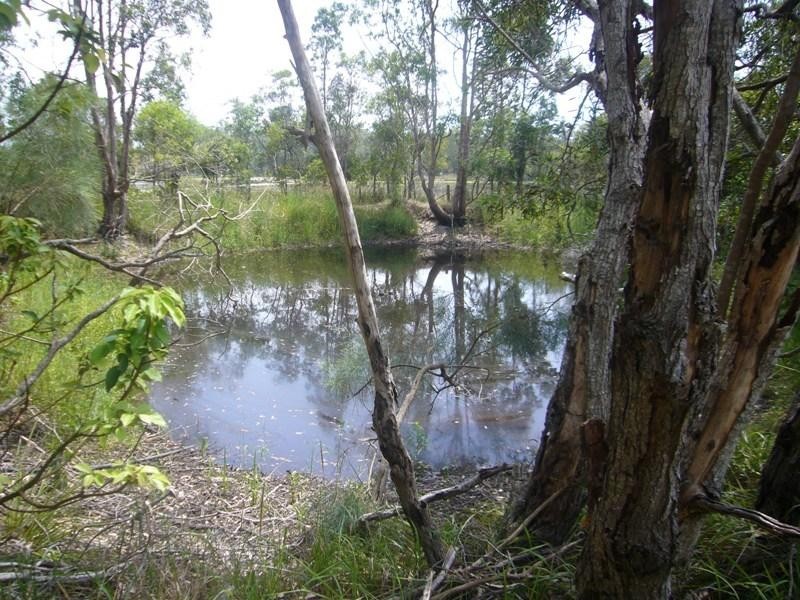 363 Cooroy Noosa Road, Lake Macdonald QLD 4563