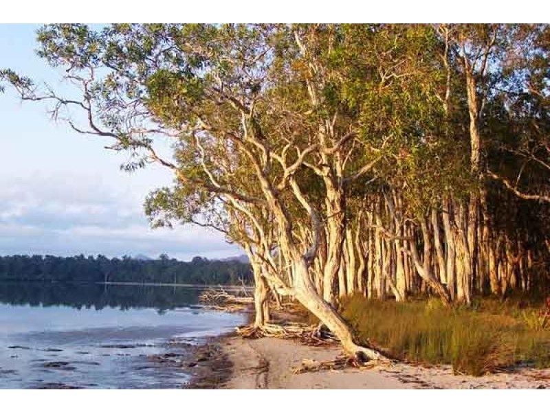 39 Morning Glory Drive, Cooroibah QLD 4565