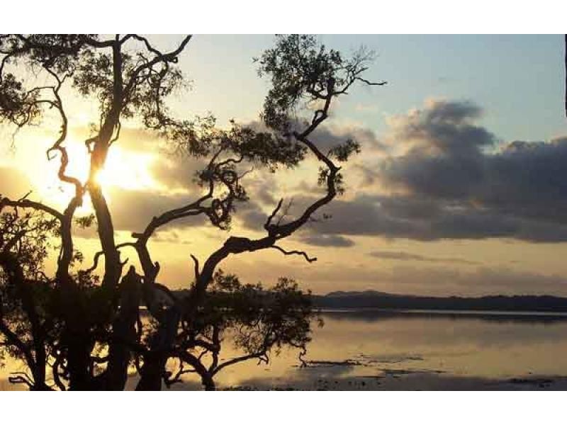 39 Morning Glory Drive, Cooroibah QLD 4565