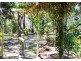 123 Teewah Beach Road, Noosa North Shore QLD 4565