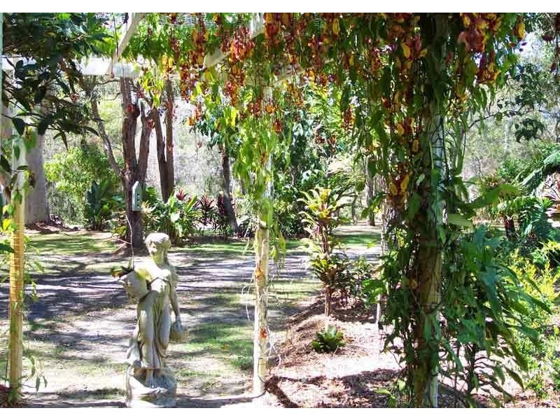 123 Teewah Beach Road, Noosa North Shore QLD 4565