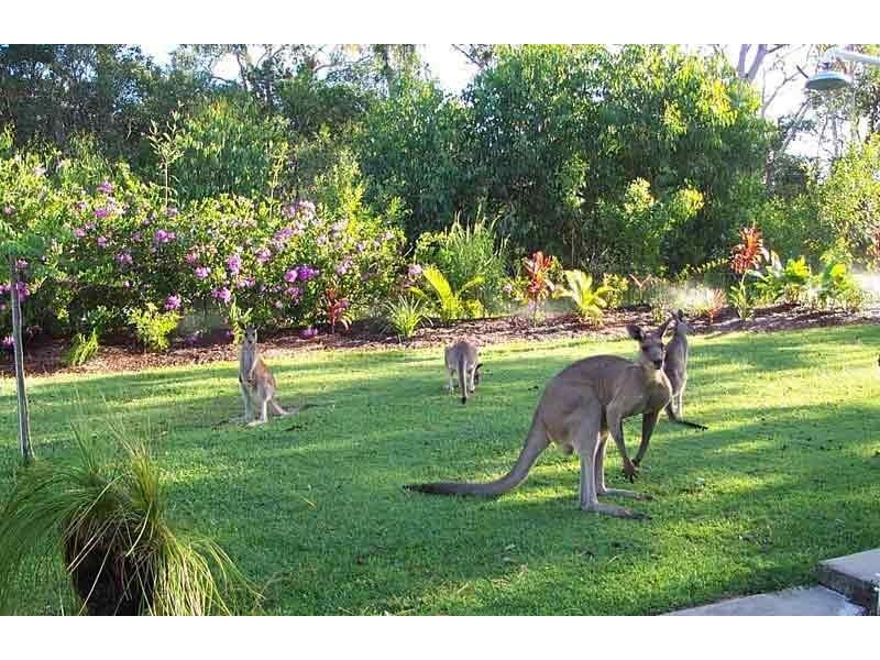 123 Teewah Beach Road, Noosa North Shore QLD 4565