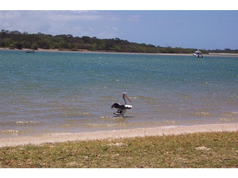 Unit 3/16 James Street, Noosaville QLD 4566