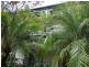 44 Laguna Street, Boreen Point QLD 4565