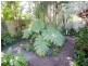8 Griffith Avenue, Tewantin QLD 4565