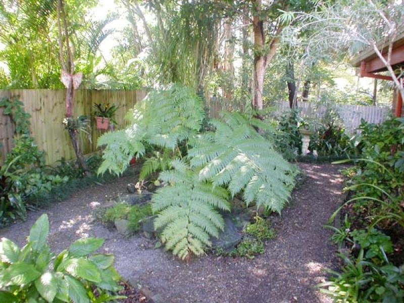 8 Griffith Avenue, Tewantin QLD 4565