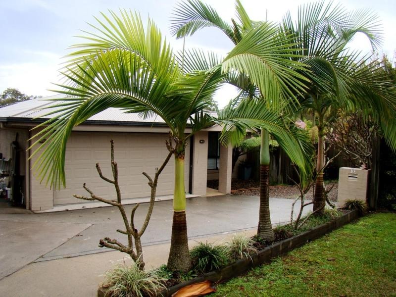10 Talara Court, Tewantin QLD 4565