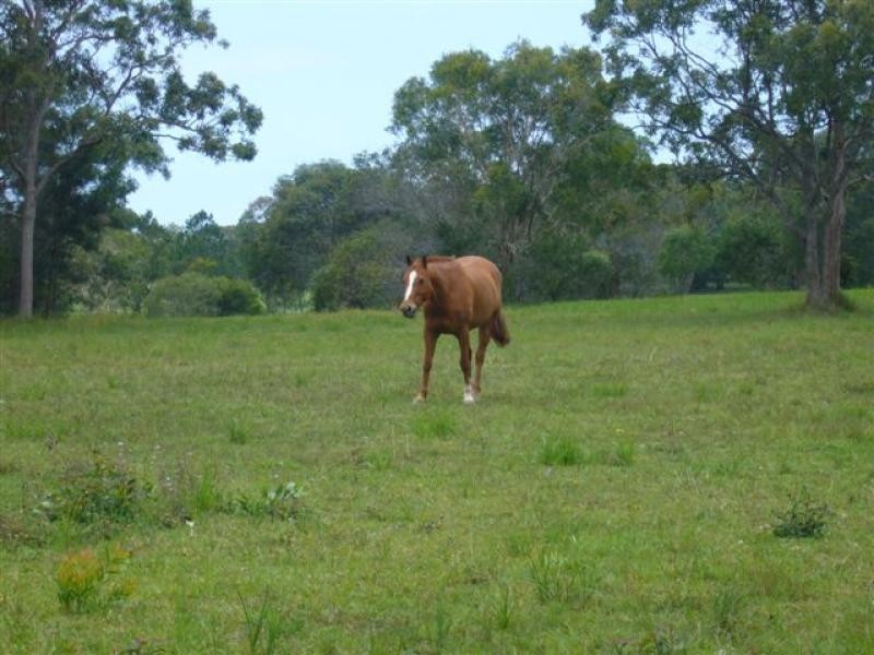 6 Illoura Place, Cooroibah QLD 4565