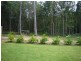 12 Oakleaf Place, Tewantin QLD 4565