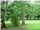 Cootharaba QLD 4565