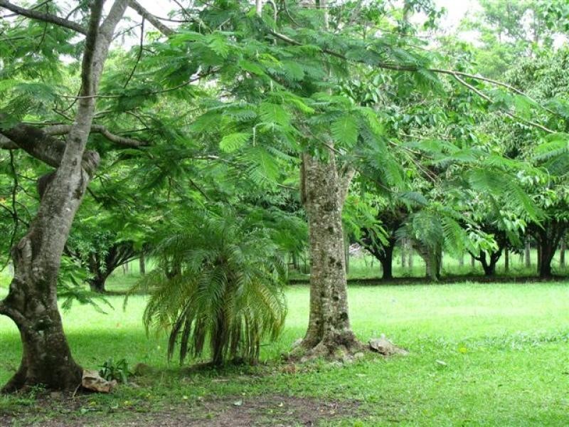 Cootharaba QLD 4565
