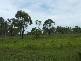 54 CONDER PARADE, Midge Point QLD 4799