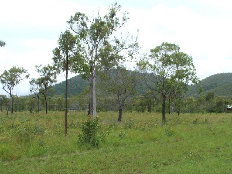 54 CONDER PARADE, Midge Point QLD 4799