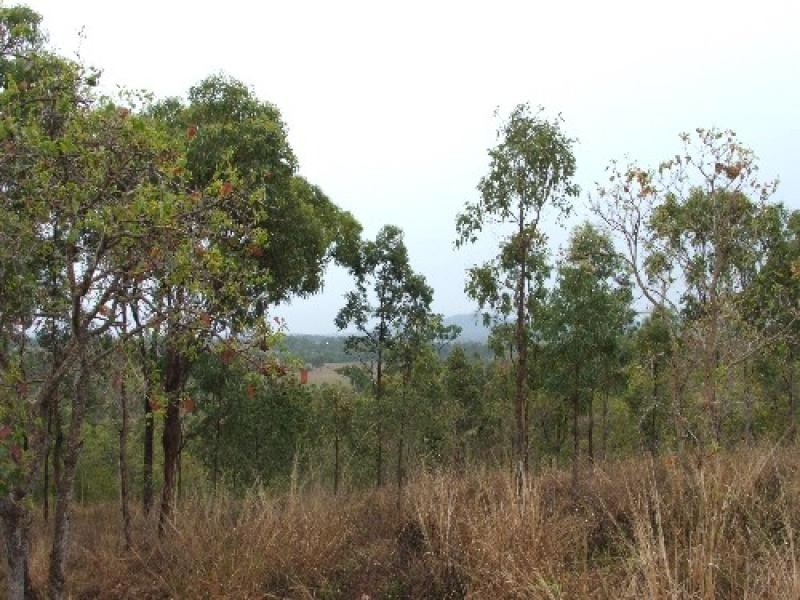 LOT 74/.. LINDEMAN DRIVE, Bloomsbury QLD 4799