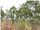 LOT 74/.. LINDEMAN DRIVE, Bloomsbury QLD 4799