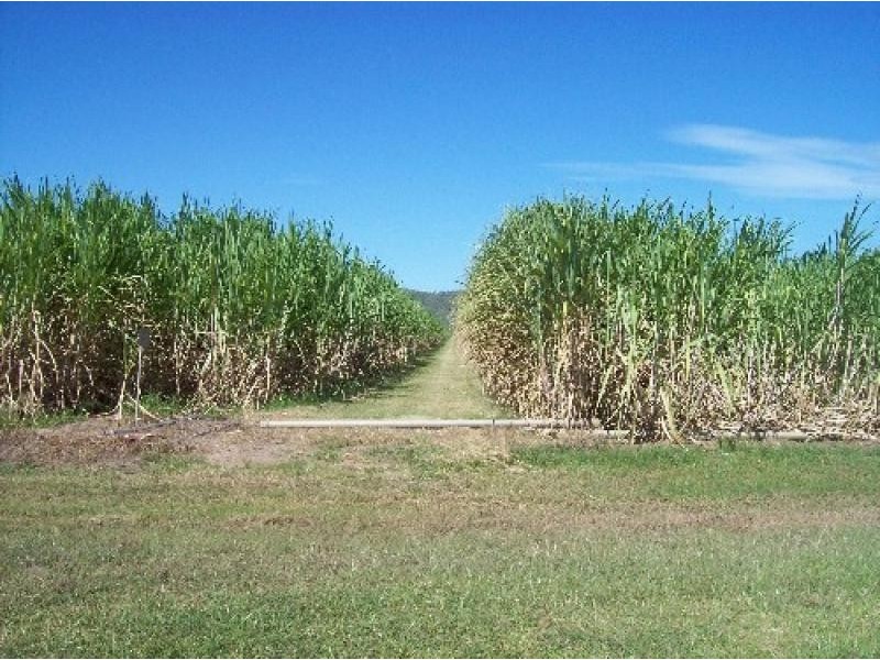 2102 GUNYARRA ROAD, Gunyarra QLD 4800