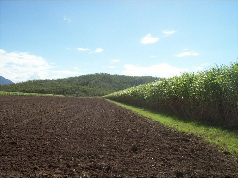 2102 GUNYARRA ROAD, Gunyarra QLD 4800