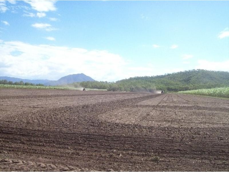 2102 GUNYARRA ROAD, Gunyarra QLD 4800