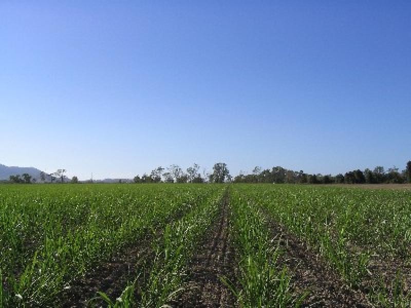 Lot 3/ Caping Road, Bloomsbury QLD 4799