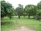 6 JOAN STREET, Proserpine QLD 4800