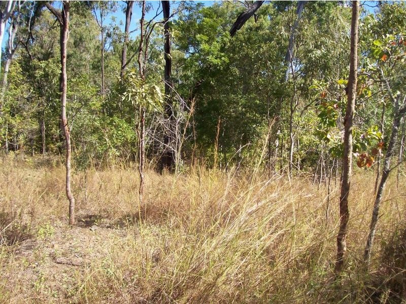 Lot 50/ Lelona Drive, Bloomsbury QLD 4799