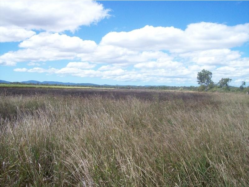 1975 Crystalbrook Road , Proserpine, Crystal Brook QLD 4800