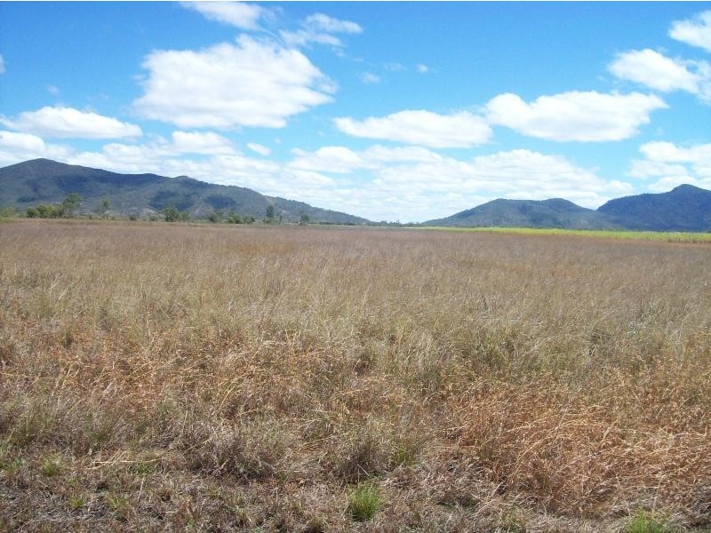 1975 Crystalbrook Road , Proserpine, Crystal Brook QLD 4800
