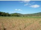 Lot 2/ Moranino Road, Proserpine QLD 4800