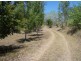 48 Moodys Road, Strathdickie QLD 4800