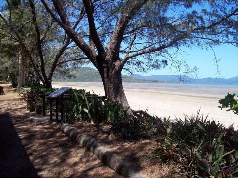 20 Ti Tree Avenue, Conway Beach QLD 4800