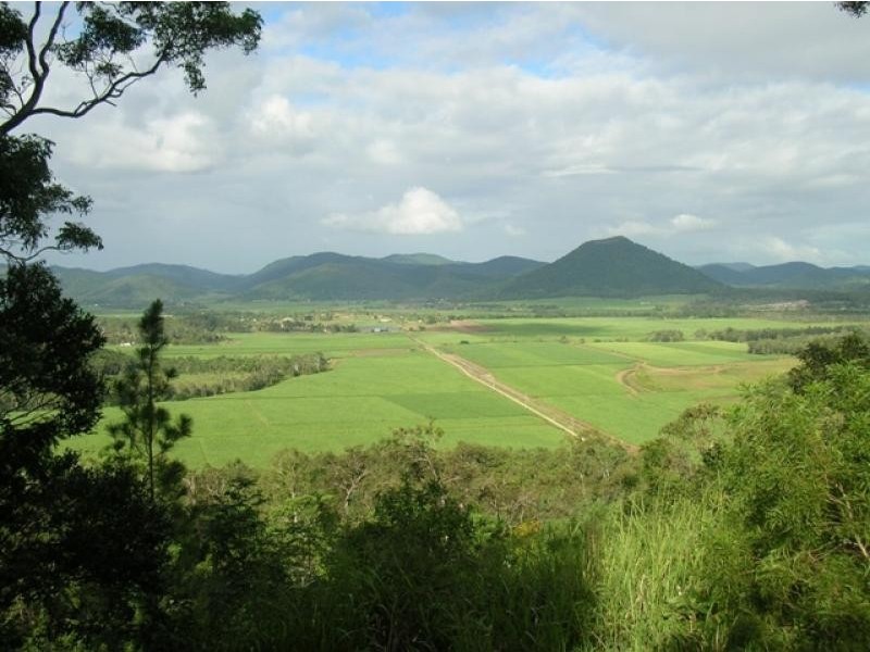 29 Staniland Drive, Strathdickie QLD 4800